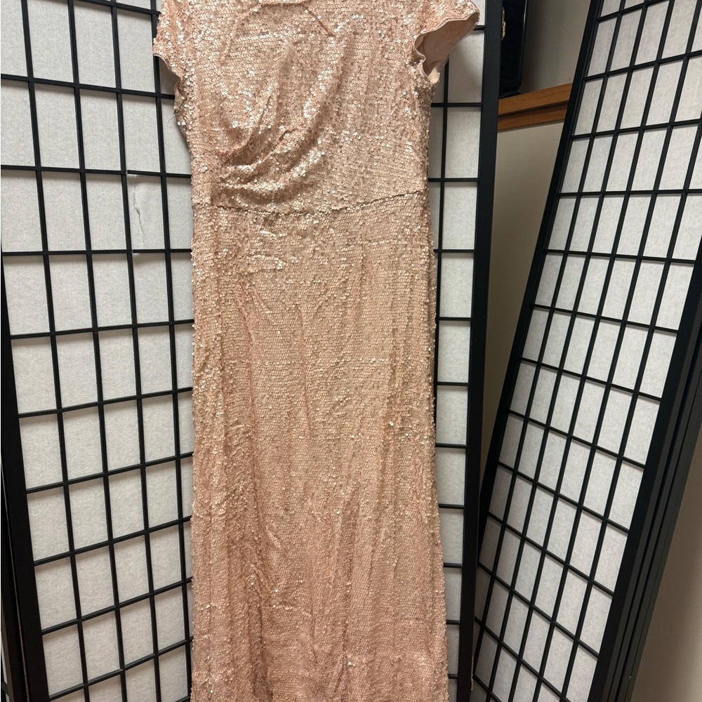 Adrianna Papell Blush Sequin Maxi Dress